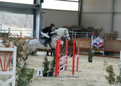 Centre équestre Nord Isère à St Savin/Bourgoin-Jallieu - Concours d’équitation, pension de cheval, poney club, équitation et centre équestre