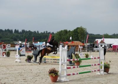 Centre équestre Nord Isère à St Savin/Bourgoin-Jallieu - Concours d’équitation, pension de cheval, poney club, équitation et centre équestre